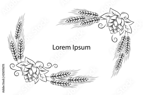Hand drawn hop cones and wheat heads outline illustration. Hops and wheat frame for poster, banner, logo, icon, template. For beer party, thanksgiving day, craft beer producer, beer festival