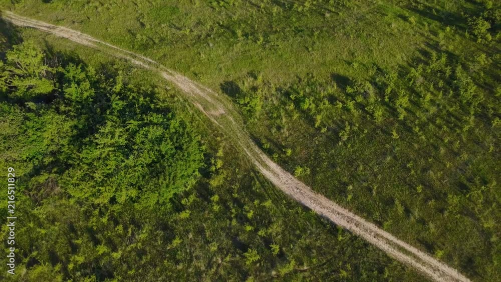 dirt road to the meadow dirt road to the meadow