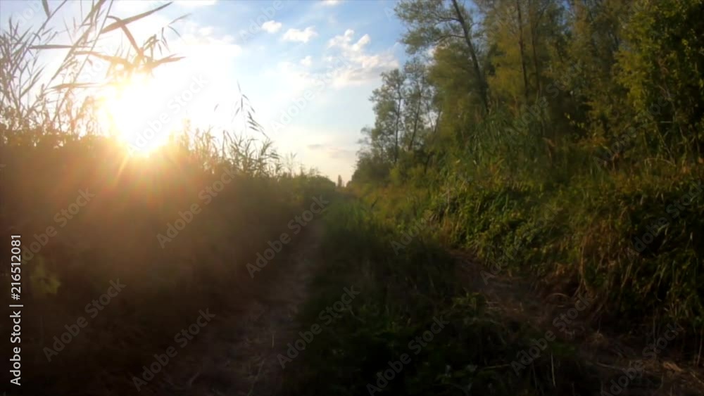 Walking with sunset and grass Walking with sunset and grass