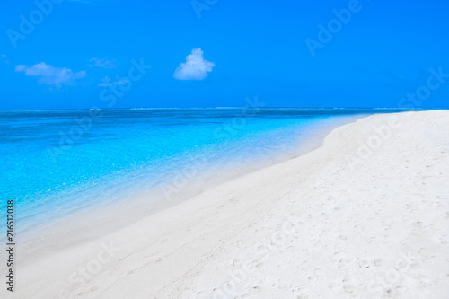 Lonely sandy beach with turquoise ocean and blue sky