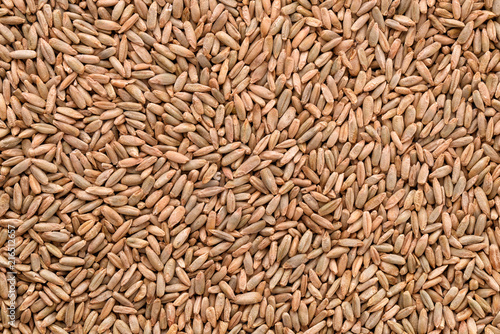 Natural rye grains background