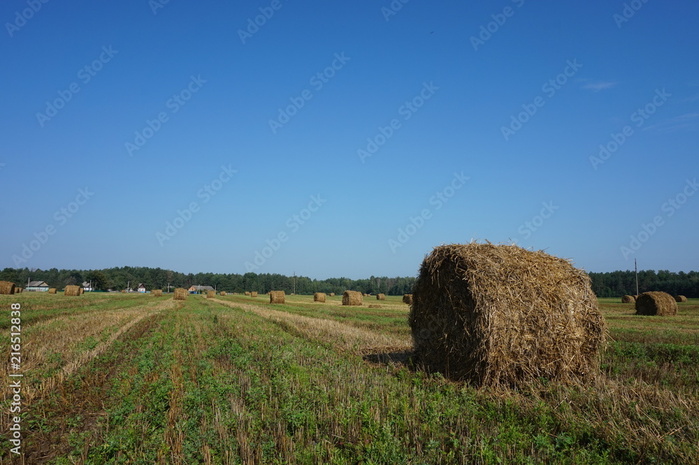 life on the farm