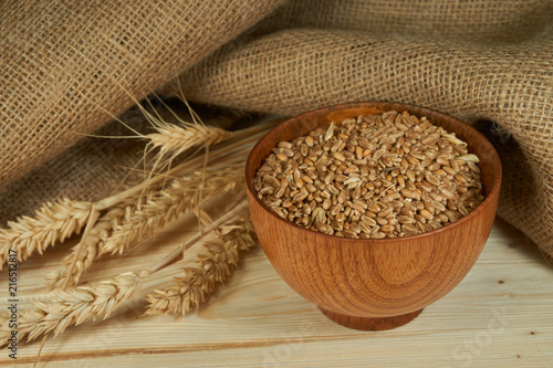Fresh raw wheat seeds and ear of ripe wheat