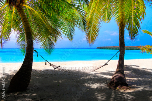 White dream beach with palm trees and hammock in front of turquoise ocean