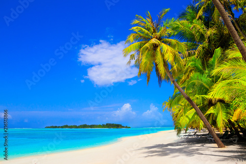 Fototapeta Naklejka Na Ścianę i Meble -  Dream beach with palm trees on white sand and turquoise ocean