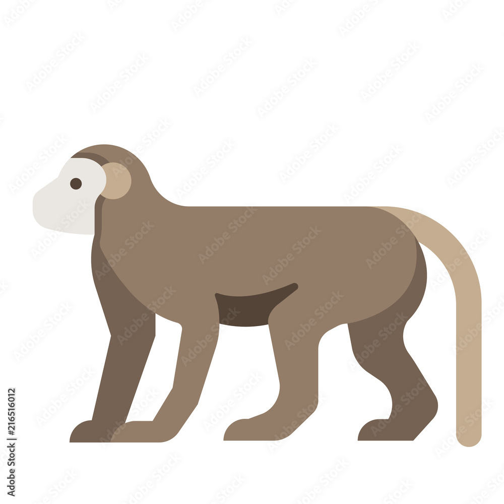 Monkey flat illustration