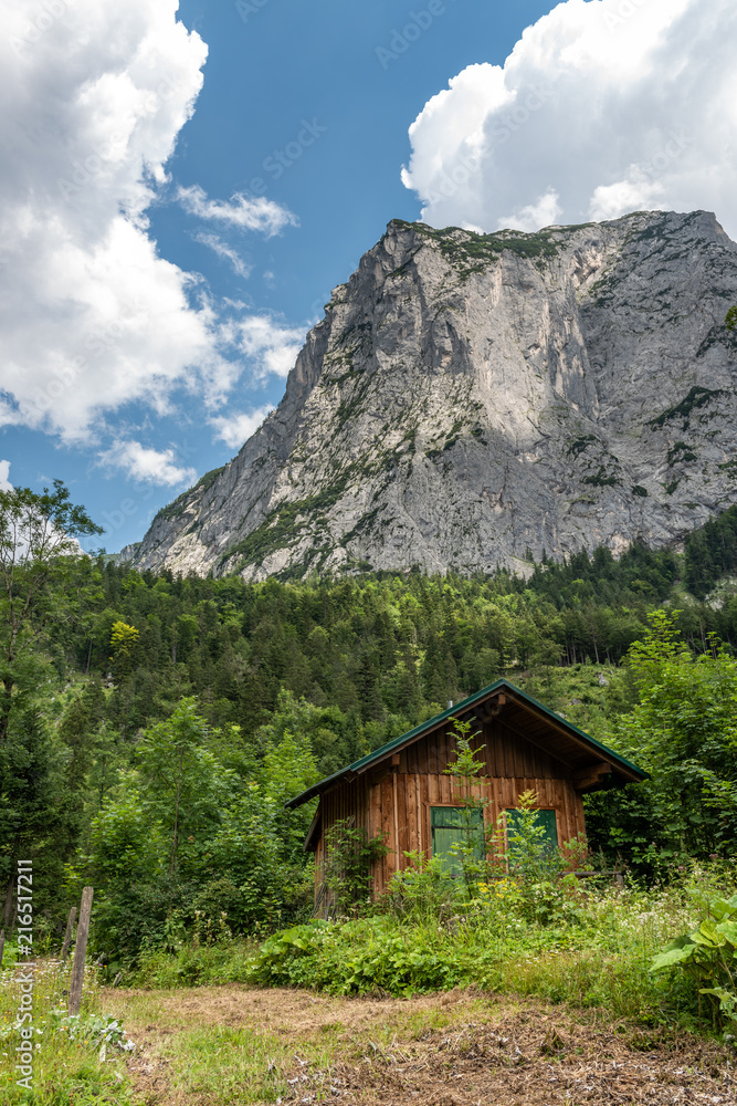 Holzhaus in grüner Landschaft vor Bergmassiv 2