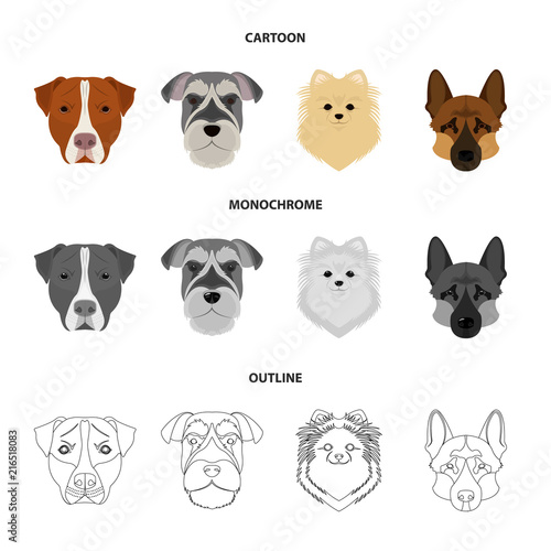 Muzzle of different breeds of dogs.Dog breed Stafford, Spitz, Risenschnauzer, German Shepherd set collection icons in cartoon,outline,monochrome style vector symbol stock illustration web.