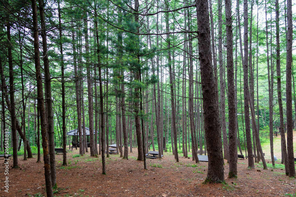 Fototapeta premium A mountain bath in korea