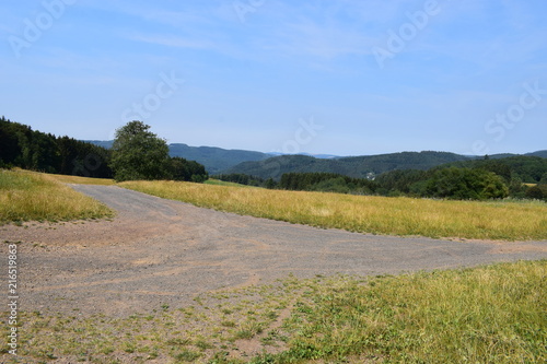 Eifellandschaft bei Adenau photo