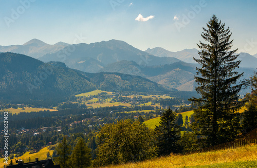 beautiful landscape of zakopane valley. popular tourist destination in hight tatra mountains. summer vacation in poland