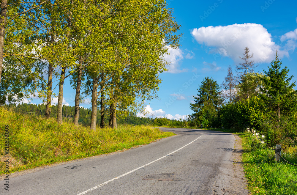 Fototapeta premium country road uphill in to the forest. lovely autumn scenery. travel by car concept
