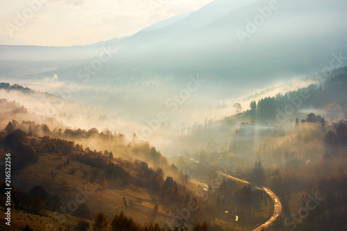 beautiful foggy background. country road down in the valley trees on hill in the mist photo