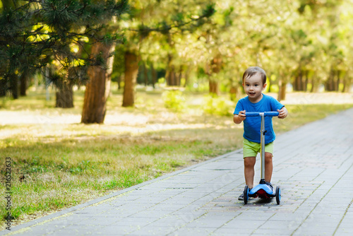 Little child riding on blue kick scooter along the paved road in the park in summer or autumn day. Sunny lawn in the background. Children sports and outdoor activity concept