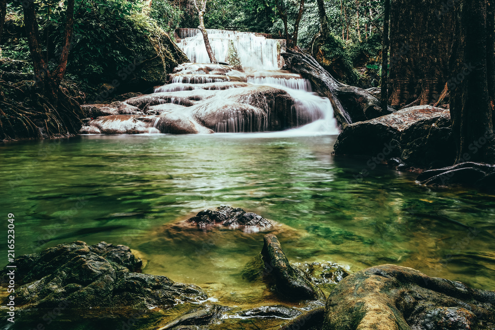 Fototapeta piękny wodospad w zielonym lesie