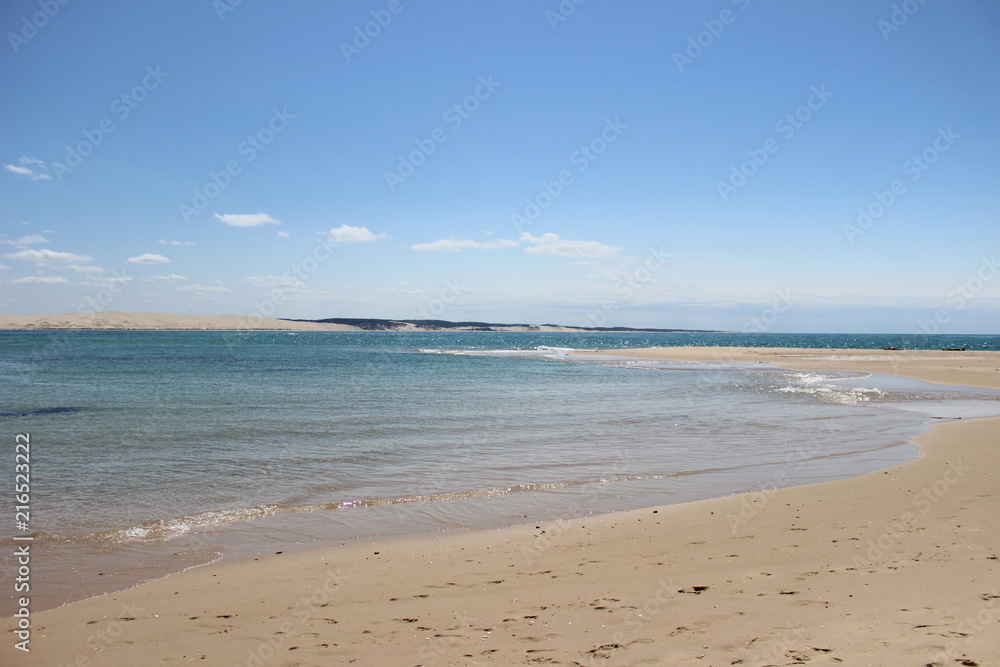 cap ferret