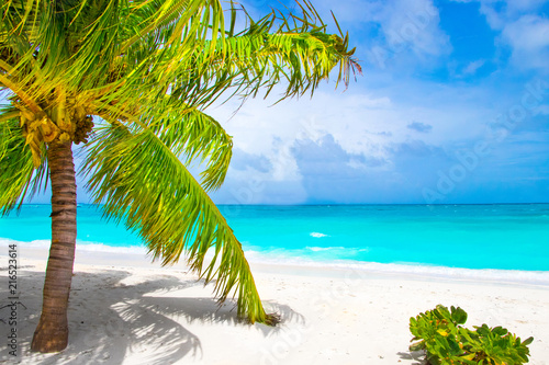 Fototapeta Naklejka Na Ścianę i Meble -  Dream beach with palm tree on white sand and turquoise ocean