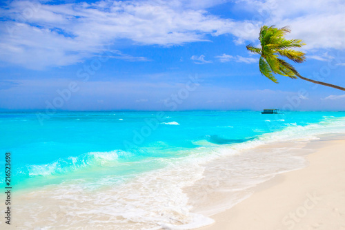 Fototapeta Naklejka Na Ścianę i Meble -  Dream beach with palm tree on white sand and turquoise ocean