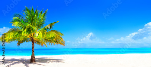 Surreal and wonderful dream beach with palm tree on white sand and turquoise ocean © nakedking