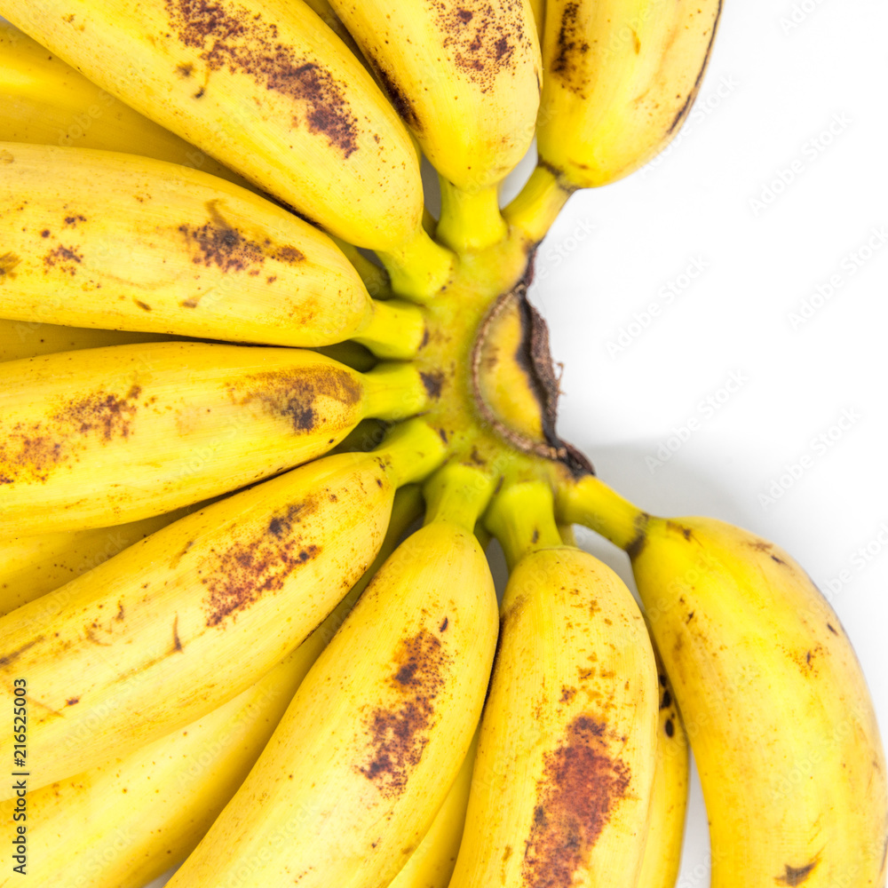 cluster of ripe delicious baby bananas on white background with copy space