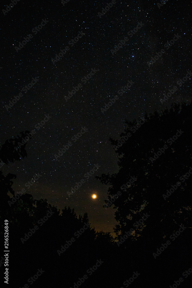 Naklejka premium Mars above the trees in the night sky- August 2018