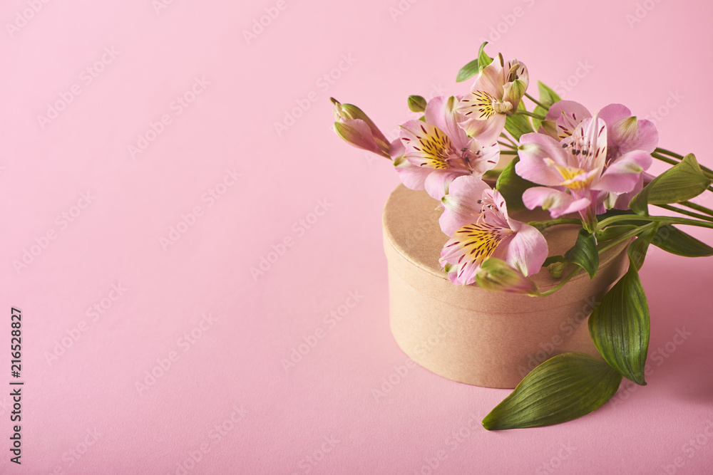 Image of beautiful flowers on background