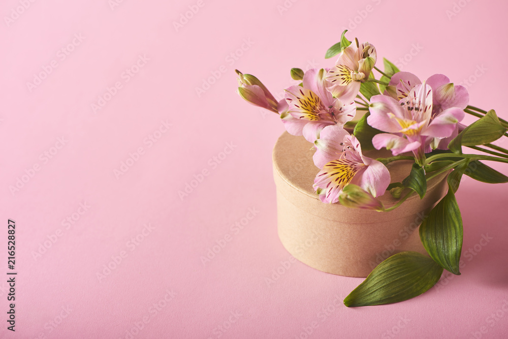 Image of beautiful flowers on background Image of beautiful flowers on background