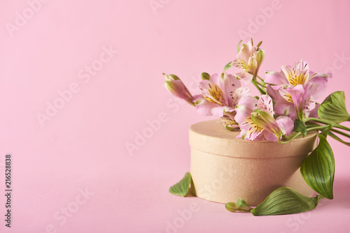 Wallpaper Mural Image of beautiful flowers on background Torontodigital.ca
