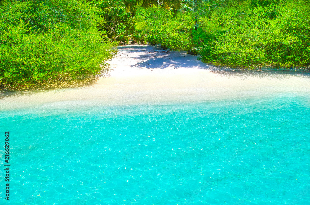 Obraz premium White sand beach with turquoise water and green plants from above