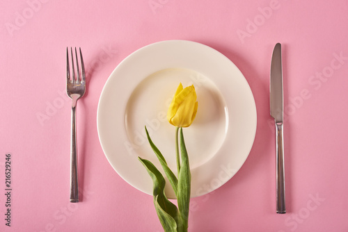 Image of beautiful flowers in round plate on background