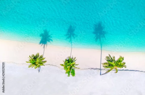 Obraz widok z góry na plażę i tropikalne palmy 