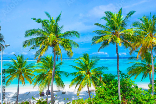 Palm trees on the sandy beach and turquoise ocean from above © nakedking