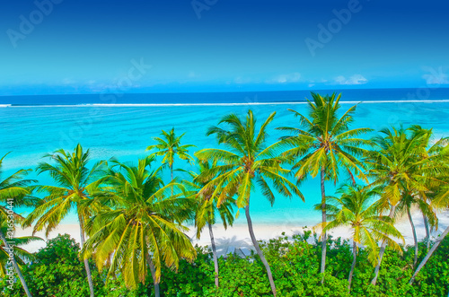 Palm trees on the sandy beach and turquoise ocean from above © nakedking