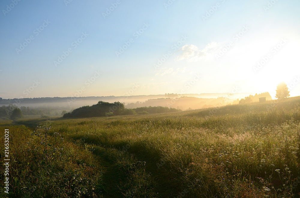 beautiful field landscape