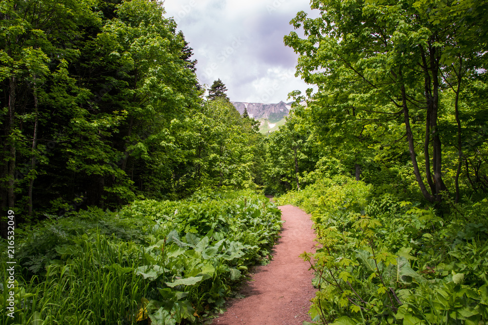 Road to mountain travel