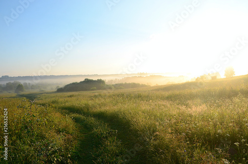 beautiful field landscape