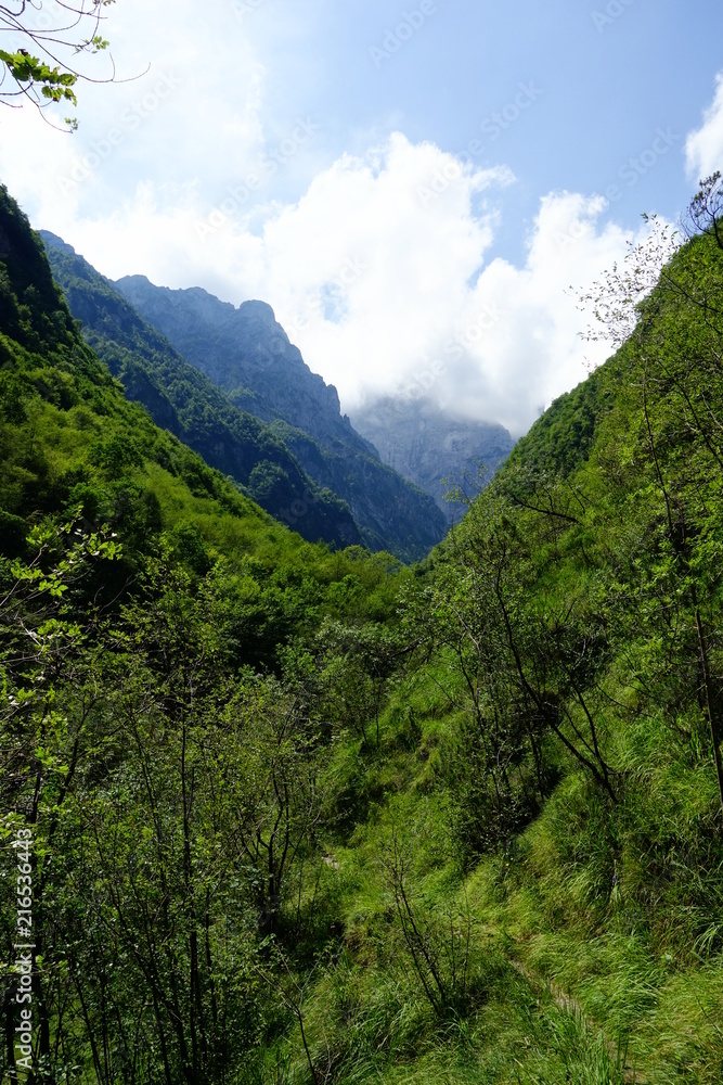 Fototapeta premium Wilde Natur in den Bergen