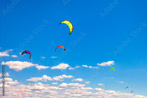 Kites for wind surfing off the italian sandy beach of Rosignano