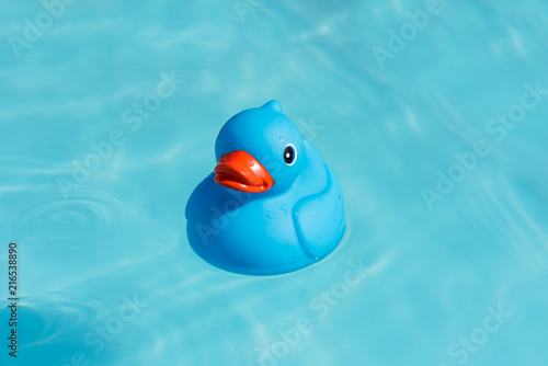 A single blue rubber duck floats in a paddling pool