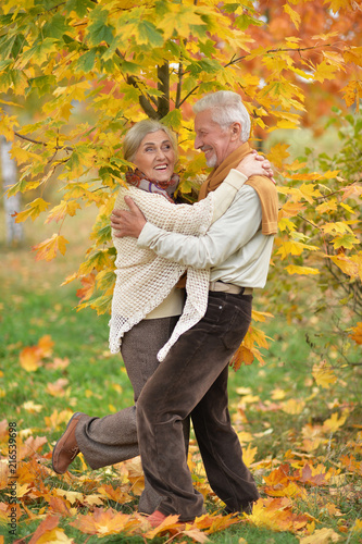 happy Senior couple in park 