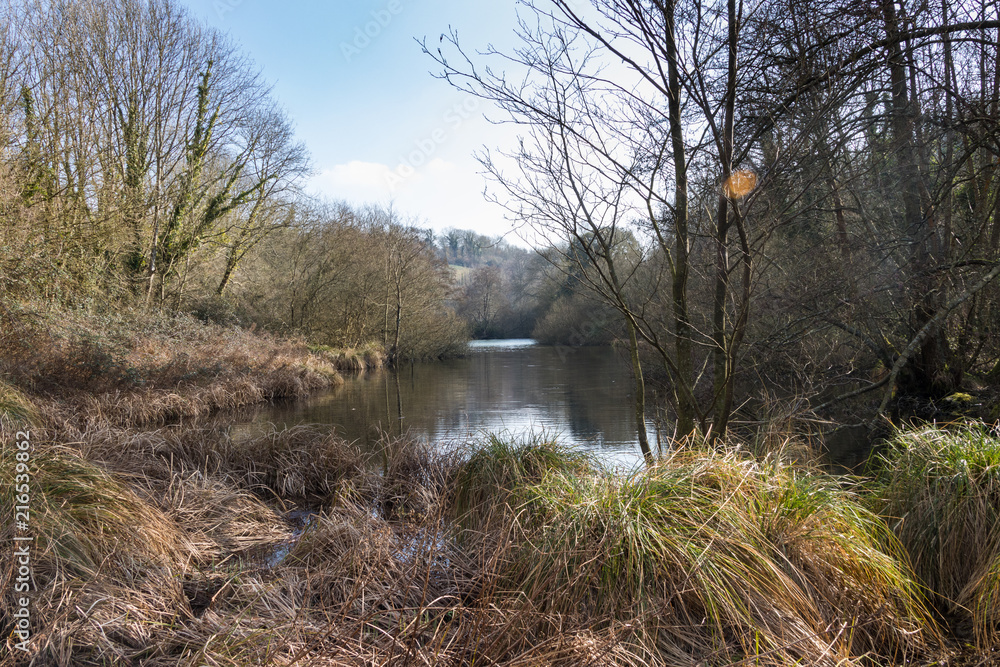 Arundel lake in spring