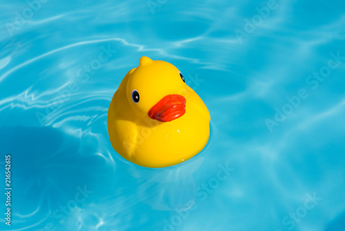 A single yellow rubber duck floats in a paddling pool