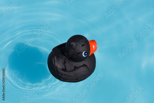 A single black rubber duck floats in a paddling pool
