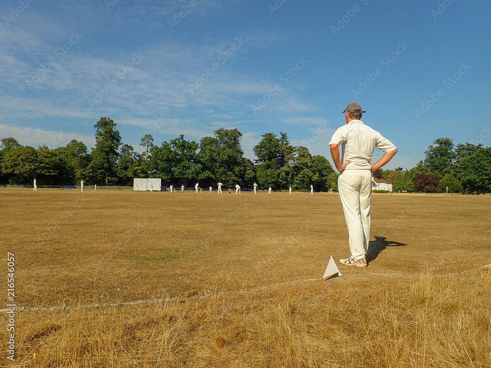 Fielder watching cricket match, Chorleywood Common