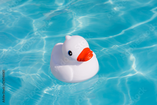 A single white rubber duck alone in the paddling pool