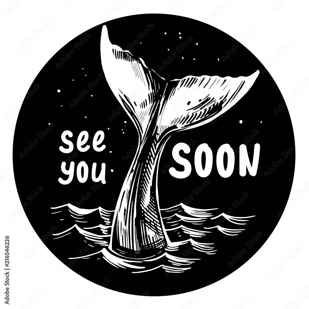 Obraz premium Ogon wieloryba. Ręcznie rysowane ilustracja atramentu przekonwertowana na wektor