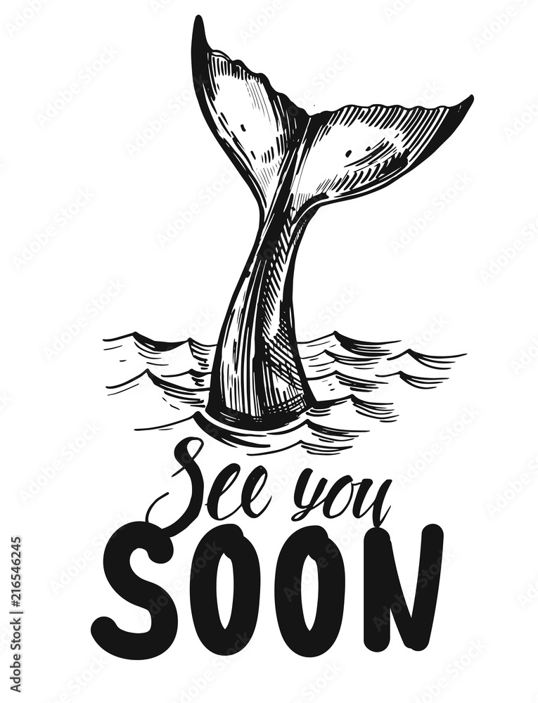 Obraz premium Ogon wieloryba. Ręcznie rysowane ilustracja atramentu przekonwertowana na wektor