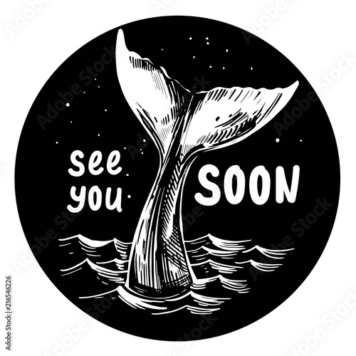 Whale tail. Hand drawn ink illustration converted to vector