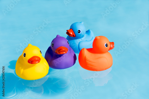 Canvas Print Four colourful rubber ducks, a family of ducks, yellow, blue, purple and orange,