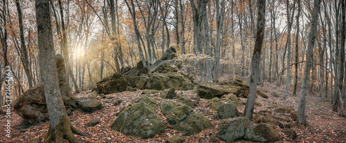 Мегалиты в осеннем лесу в долине реки Дженнет, Кавказ, Россия, Краснодарский край
